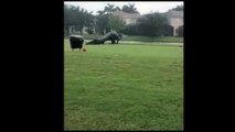 Dinossauro? Vídeo flagra jacaré gigante em campo de golfe nos EUA