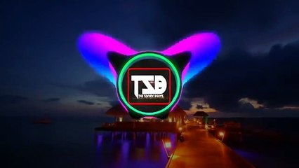 Amri si Tiktok famous song || Best song 2020 Amri si perneet aa jao na to shi /  Ali T.V