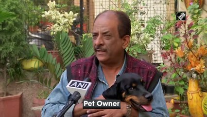 Chandigarh dog lovers welcome ban on firecrackers