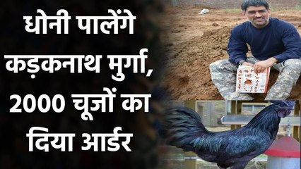 MS Dhoni set for poultry farming, orders 2000 black Kadaknath chickens | वनइंडिया हिंदी