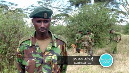 كينيا: محمية طبيعية في السافانا