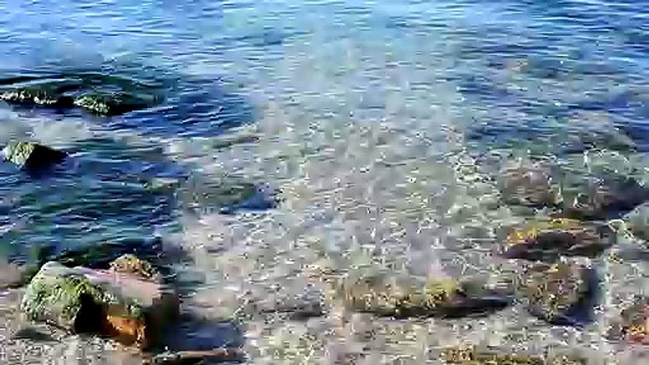 Rocks on the seashorenatural beautiful royalty Free Stock no copyright video Free for commercial use dron dron aerial view