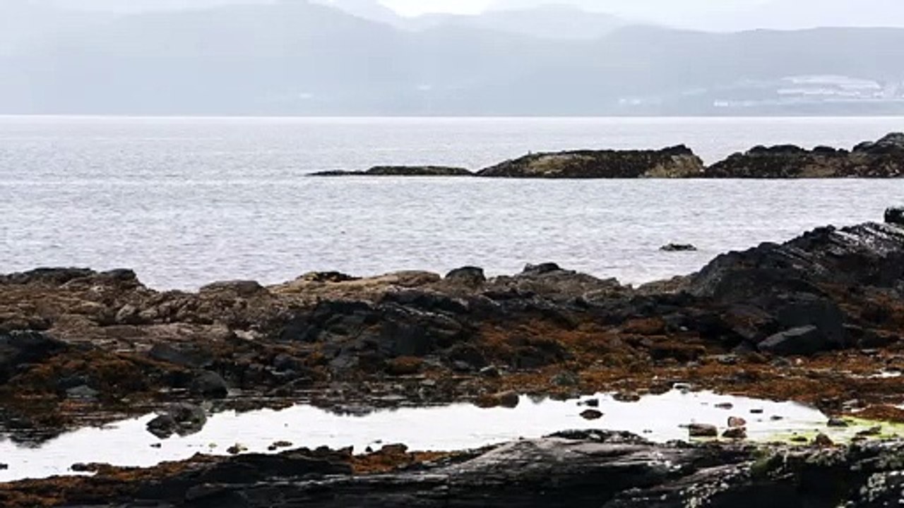Rocks Shore Beach natural beautiful royalty Free Stock no copyright video Free for commercial use dron dron aerial view