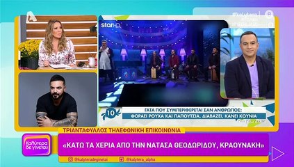 Έξαλλος ο Τριαντάφυλλος με τη δήλωση του Κραουνάκη για τη Θεοδωρίδου