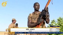 Empeora el conflicto bélico en Etiopía con miles de muertos y desplazados a Sudán