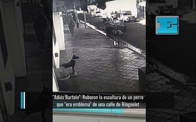 "Adiós Bartolo": Robaron la escultura de un perro que "era emblema" de una calle de Ringuelet