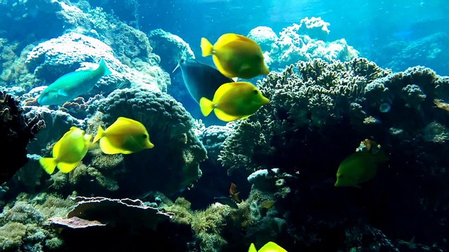 Berta auf Fuerteventura 02