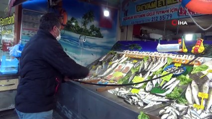 Hamsi Fiyatları Düşüşe Geçti