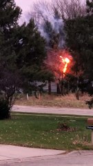 Tree Catches Fire After Car Crash Topples Power Pole
