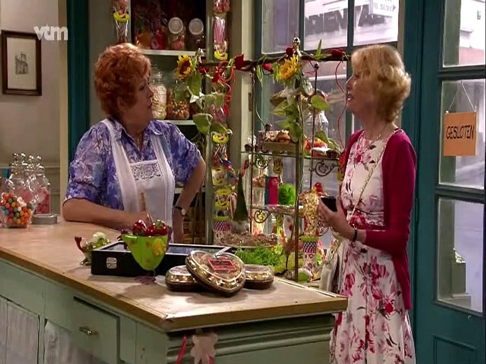 DE KOTMADAM SEIZOEN 23 AFLEVERING 13 FEESTBOEK.