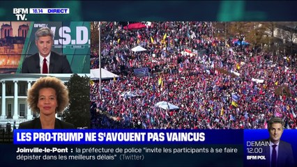 Présidentielle américaine: les manifestants pro-Trump réunis à Washington - 14/11