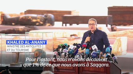 L'Egypte dévoile plus de cent sarcophages intacts, "trésor" de Saqqara