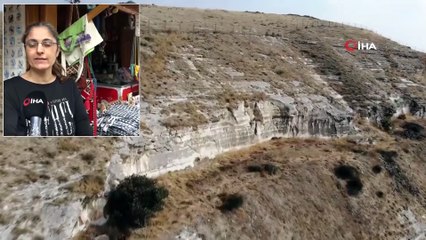 Nesli Tükenme Tehlikesinde Olan Kelaynaklardan Rekor Üreme