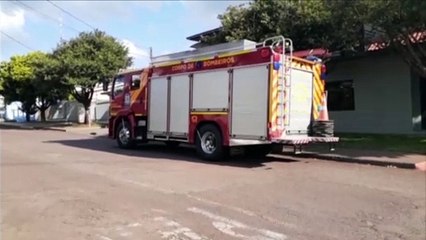 Ataque de abelhas é registrado no Bairro Neva