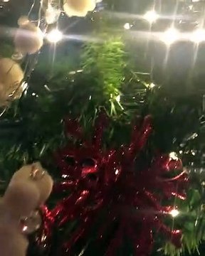 Η Ρούλα Κορομηλά στόλισε το χριστουγεννιάτικο δέντρο!