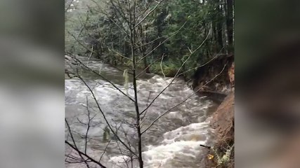 Creek riding high after storms in Oregon