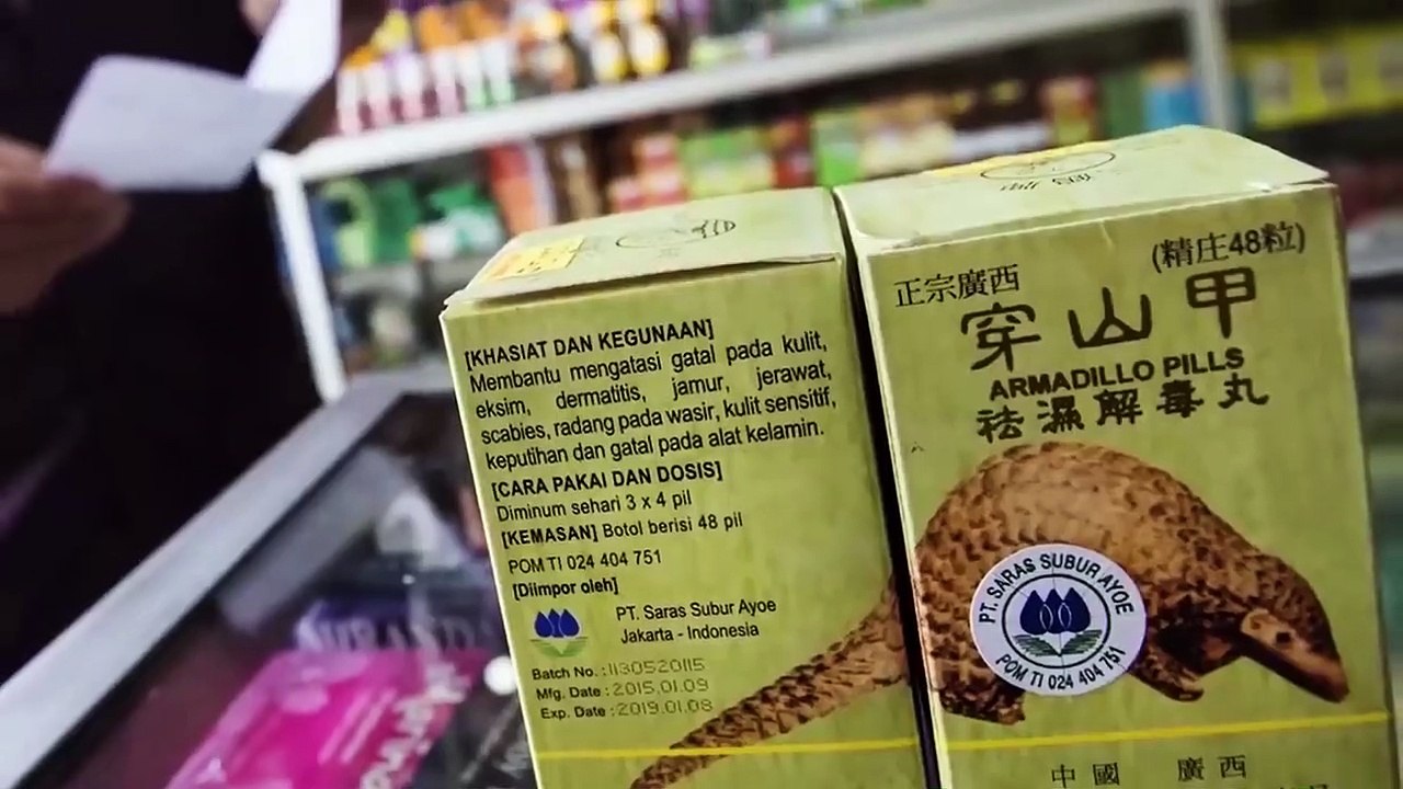 Incríveis Comportamentos Animais Que Impressionarão Você