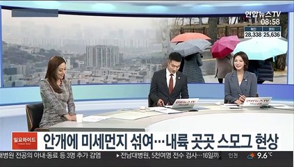 [일요와이드] 휴일 온화하지만 미세먼지…서쪽지방 공기질 '나쁨'