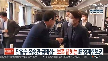 안철수·유승민·금태섭…보폭 넓히는 野 잠재후보군