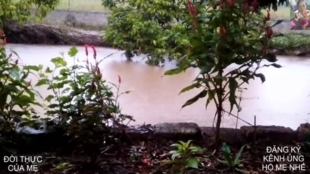 mưa rét tràn về miền quê bắc bộ thật buồn