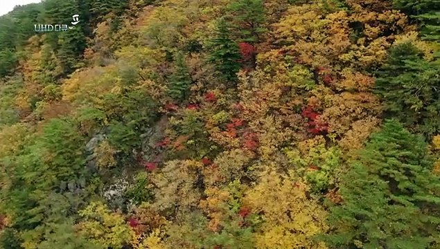 [UHD 다큐 풍경] 산과 바다가 만든 비경…속초