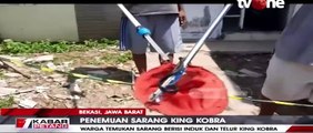 Warga Bekasi Geger, Petugas Temukan Sarang King Kobra