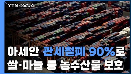 '아세안' 관세철폐 90% 수준 껑충...쌀·마늘 등 농수산물은 보호 / YTN