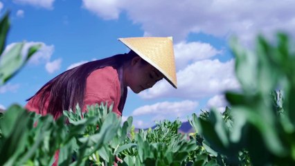 一种味道独特的肉__酸肉【滇西小哥] A unique taste of meat __ Sour Meat [Little Brother Dianxi]