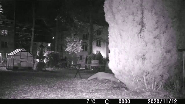 Diebe und Räuber des nachts gefilmt