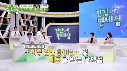 단백질 함량 월등↗ 『초유 단백질』 #광고포함