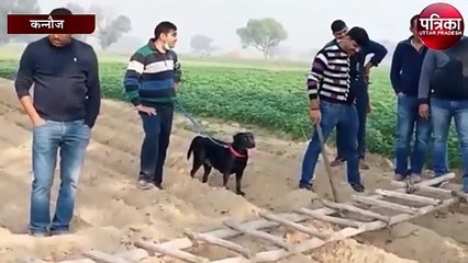कन्नौज में बुजुर्ग दंपती को लहूलुहान कर लाखों की लूट