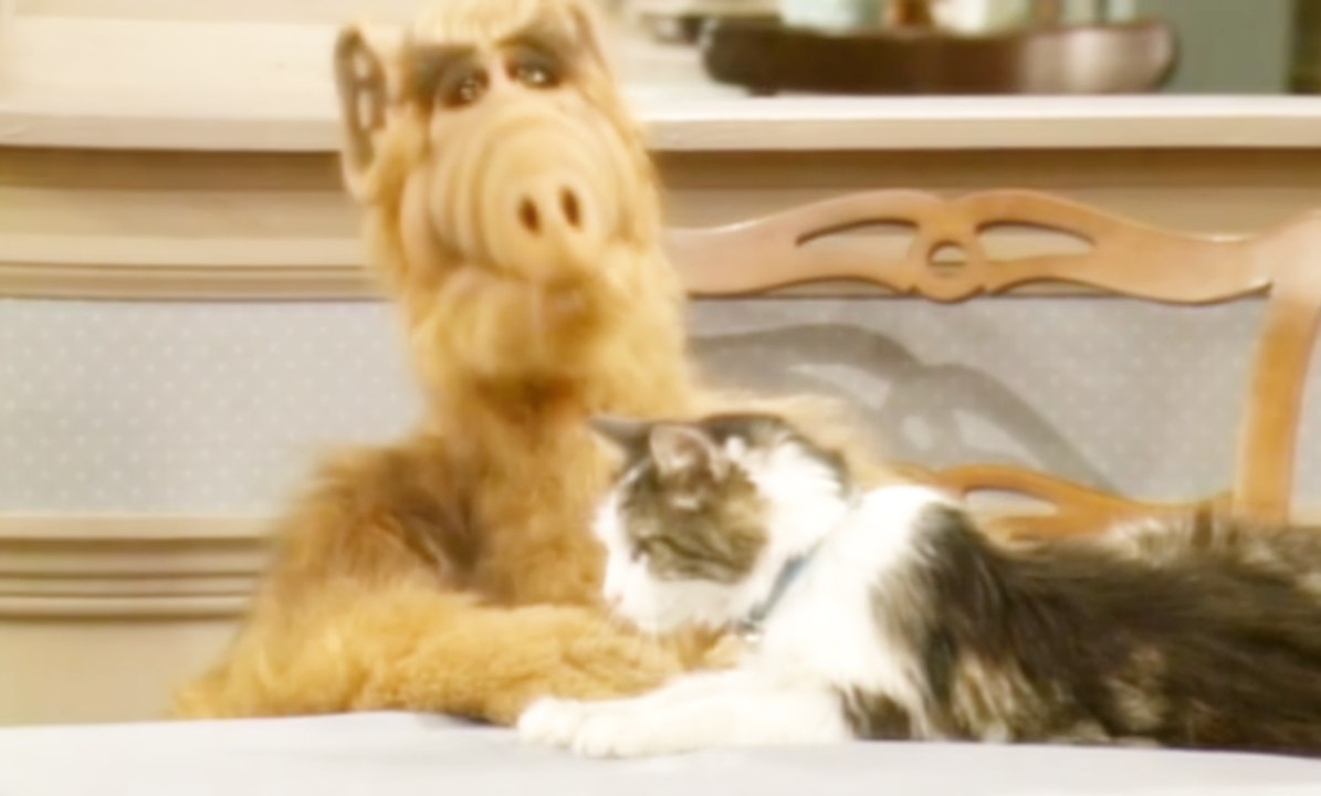 Série TV ALF - Extrait