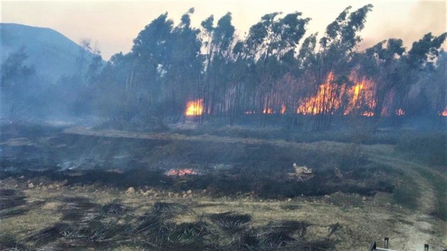 Muğla’da farklı noktalarda aynı anda yangınlar