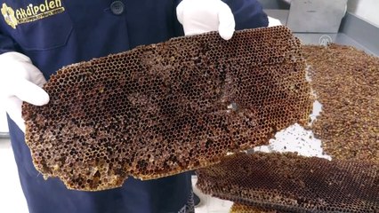 Bal peteklerinden üretilen 'arı ekmeği' talep görüyor - AFYONKARAHİSAR