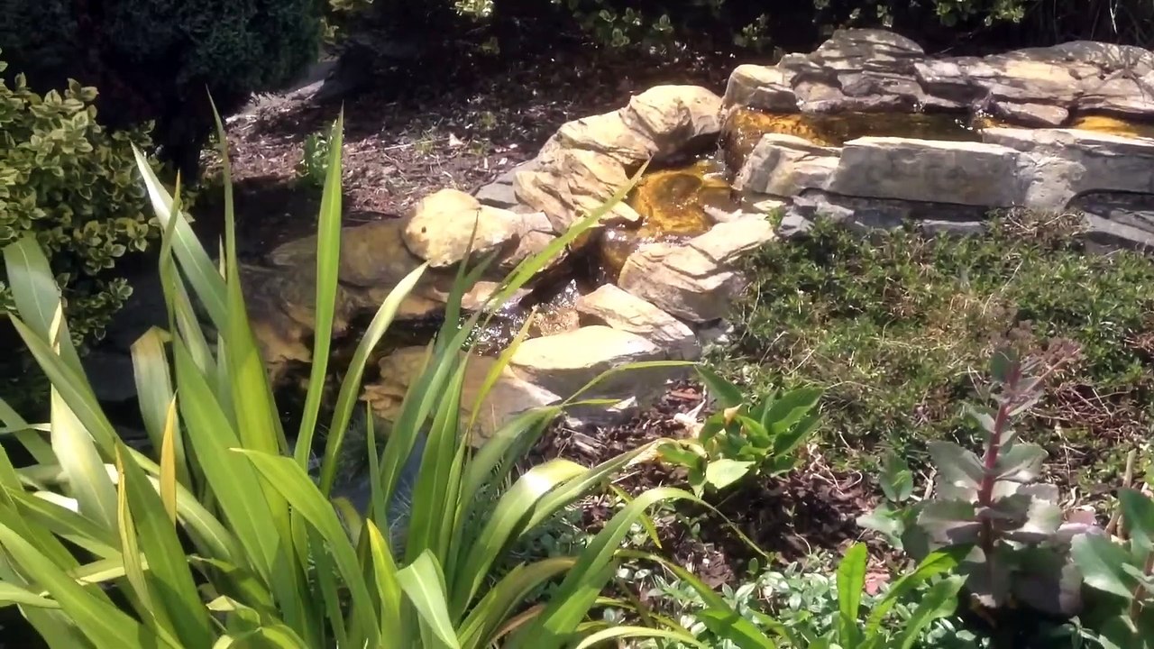 Downtown garden centre near Grantham Lincolnshire