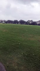 ظهور ديناصور في فلوريدا وفيديو يكشف الحقيقة 