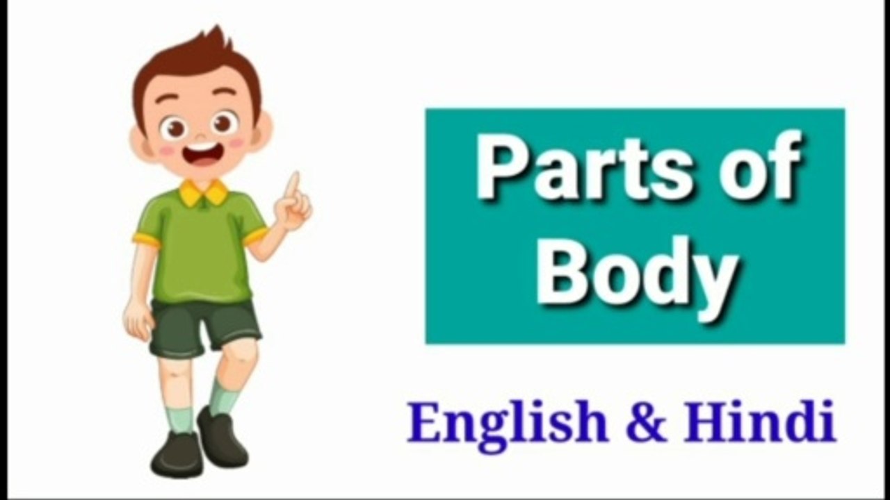 Body Parts Name Hindi and English | Parts of Body | Name of Body Parts | शरीर के अंगो के नाम