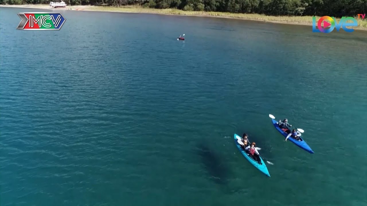 Nữ ca sĩ Việt Nam mê mẩn vì được chèo thuyền cùng trai đẹp Nhật Bản tại hồ Tazawa tuyệt đẹp 