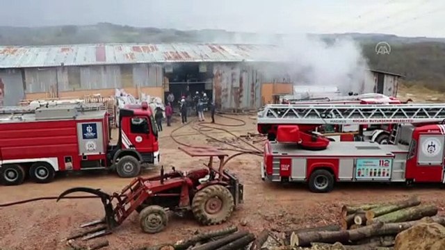 Ahşap palet fabrikasında çıkan yangın söndürüldü - KOCAELİ
