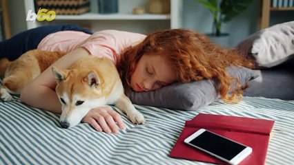 Your Pup Likely Has Vivid Dreams About You