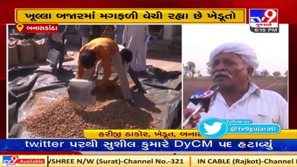 Unsatisfied by MSP prices, Banaskantha farmers selling groundnuts in open market
