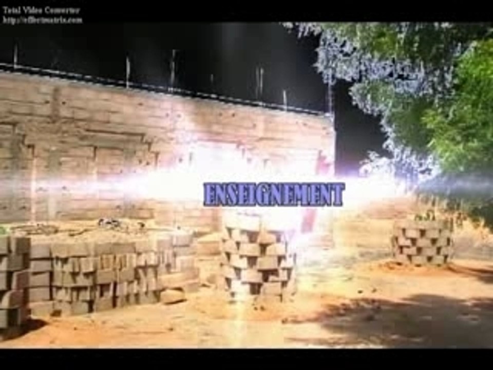 amin au mali