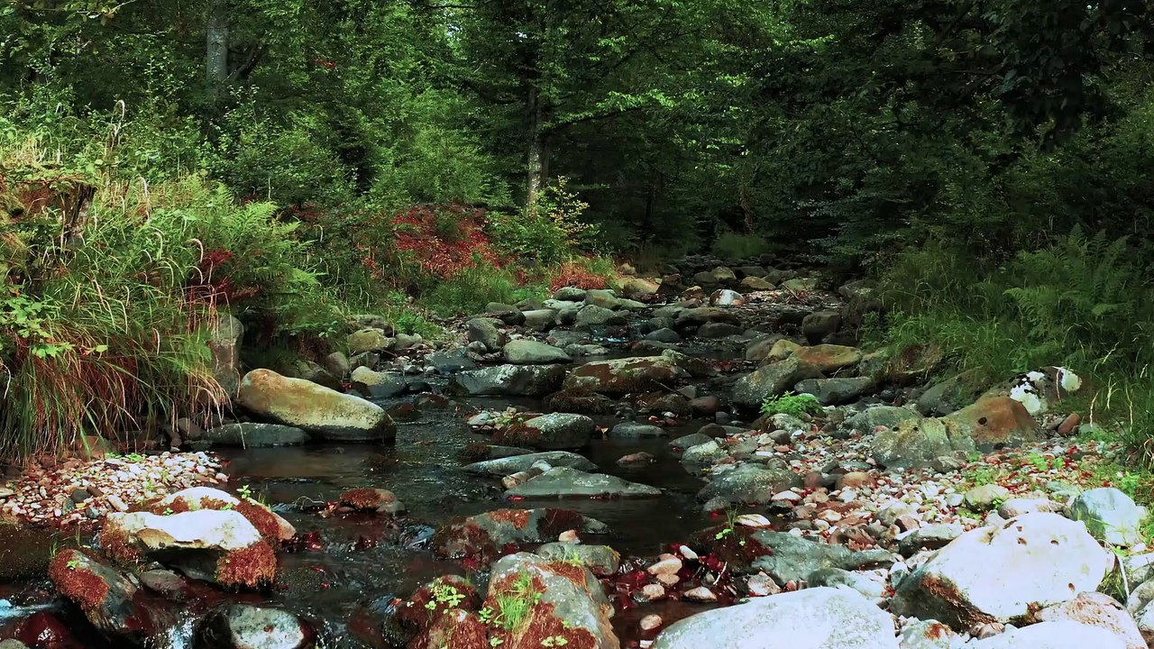 Along The River