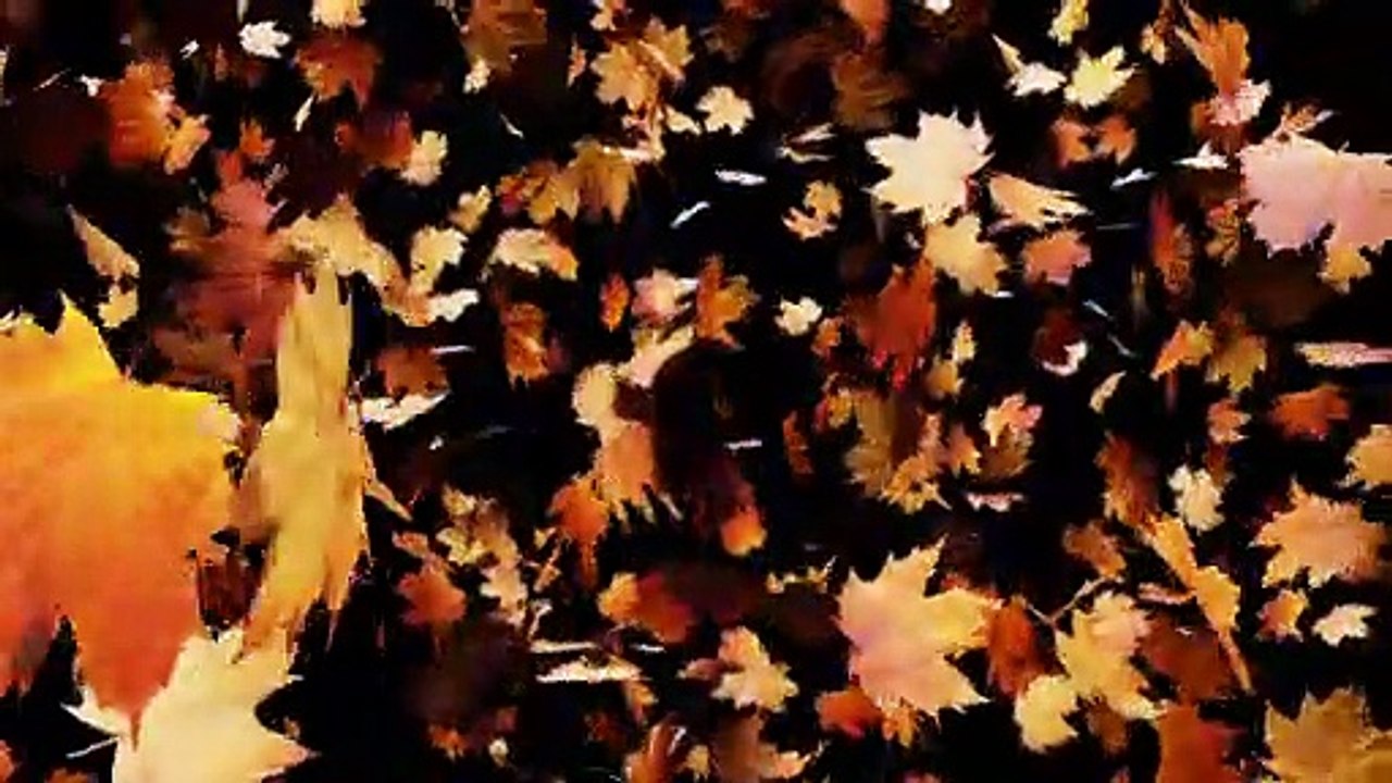 Autumn And Nature