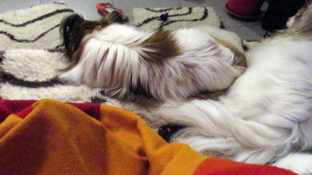 15 11 2020 Remerciements à mes enfants