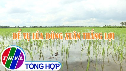 Nông nghiệp bền vững: Để vụ lúa Đông Xuân thắng lợi