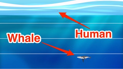 This incredible animation shows how deep the ocean really is