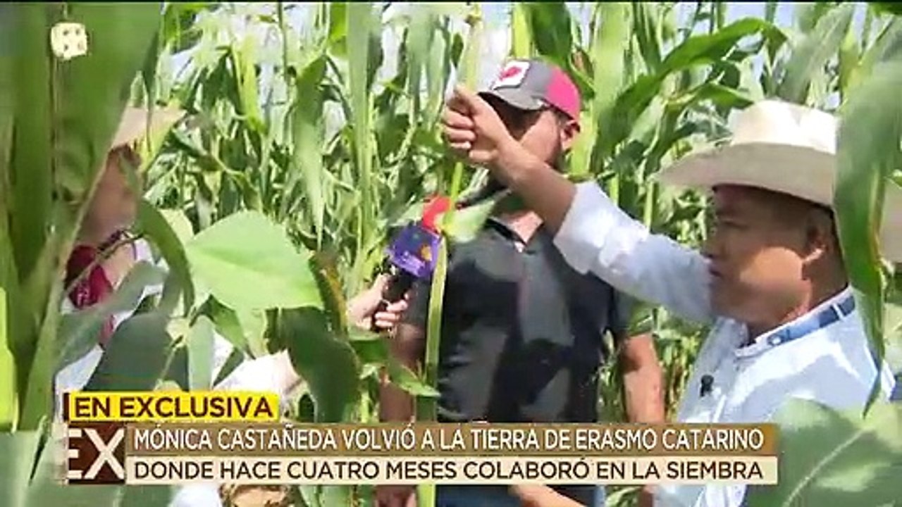 ¡Mónica Castañeda volvió a la tierra de Erasmo Catarino para cosechar maíz y sandías! | Ventaneando