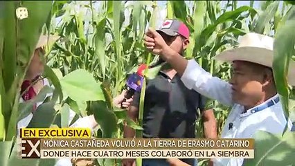¡Mónica Castañeda volvió a la tierra de Erasmo Catarino para cosechar maíz y sandías! | Ventaneando
