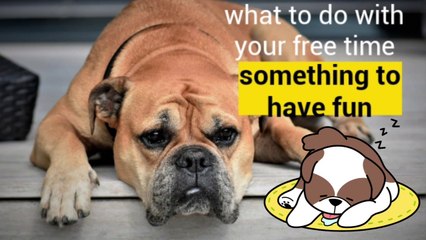 What to do when you are bored *